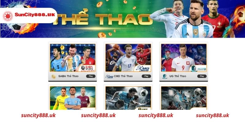 Khái quát về cá cược thể thao Suncity